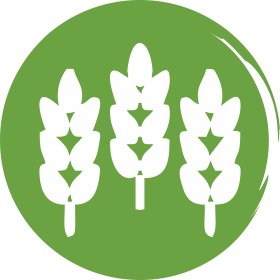 High Fiber-home page icon